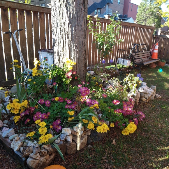 Meet your Posher, Hopeful - Picture 7 of 16